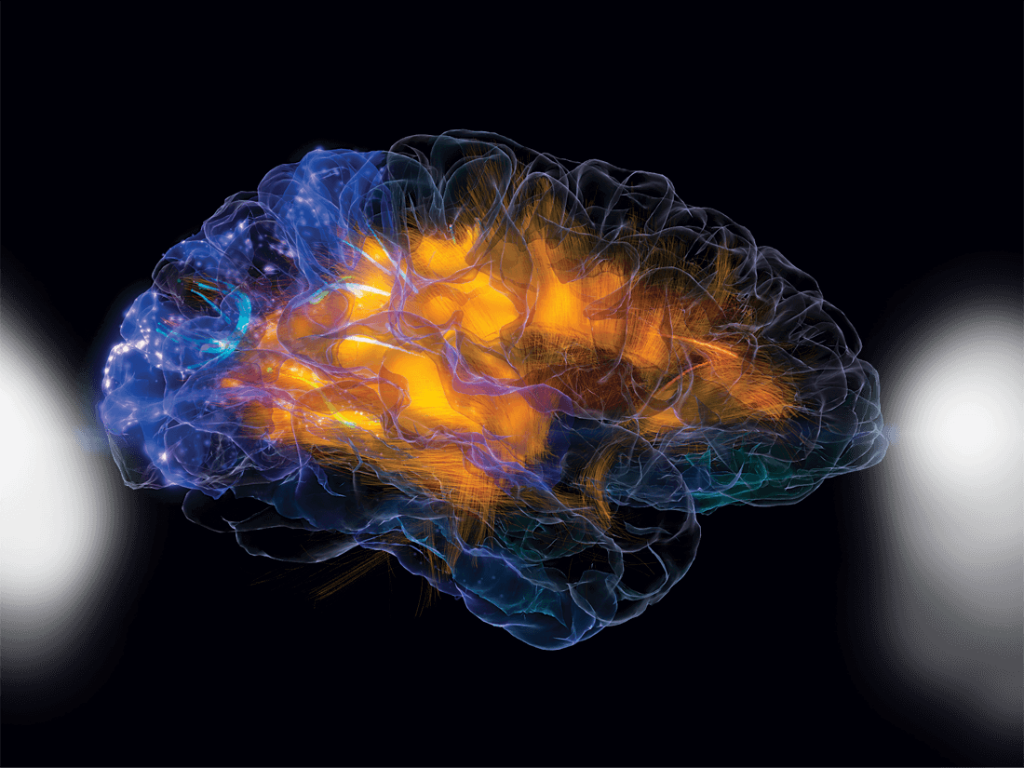 Cérebro com atividade elétrica